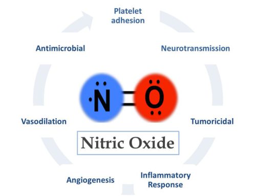 Sáu loại thực phẩm giúp tăng cường Nitric Oxide