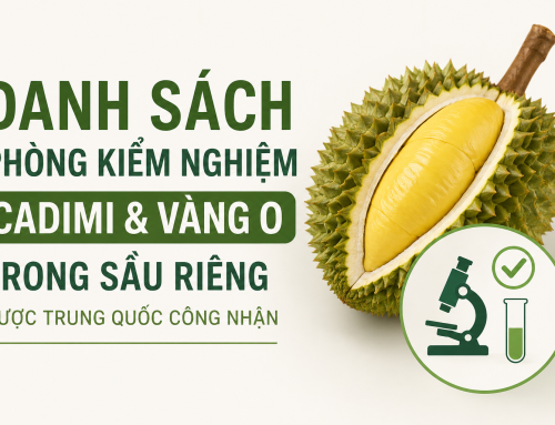 Danh sách mới nhất phòng kiểm nghiệm sầu riêng xuất khẩu sang Trung Quốc